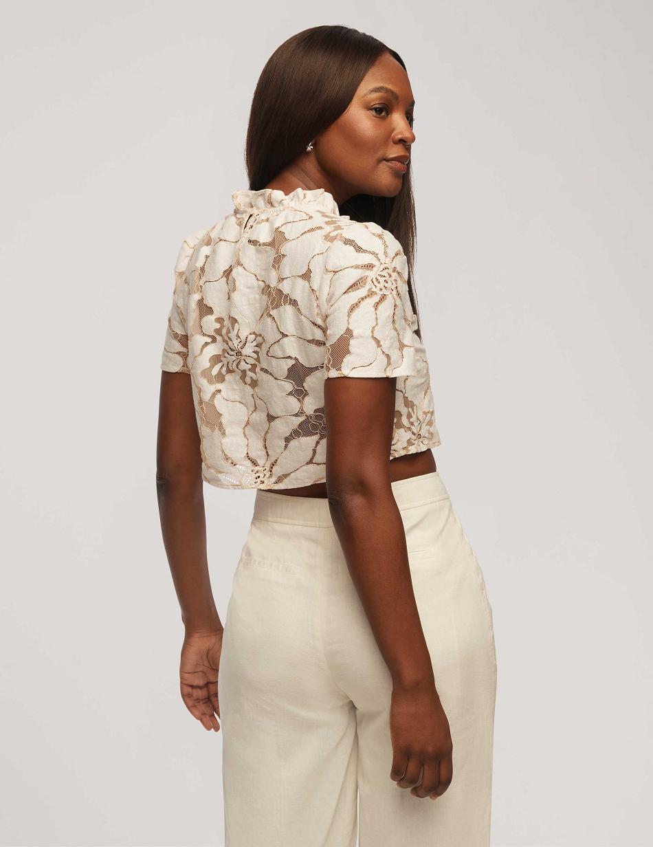 Anne Klein Floral Embroidered Lace Cropped Blouse Tops White | EAUHC23872